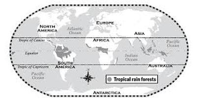 Latitude S And Longitude S Tropical Rainforest Environmental
